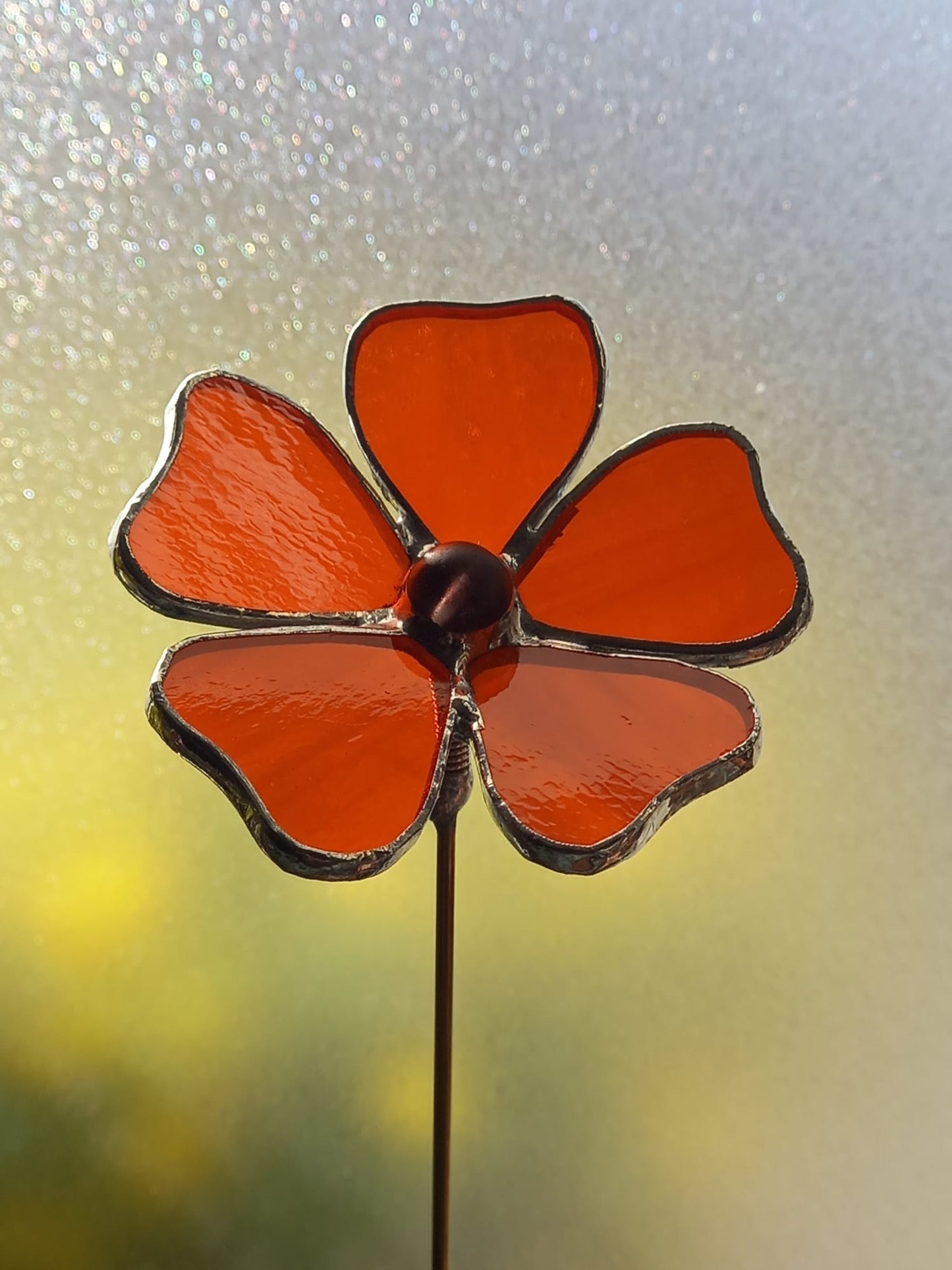 Suzanne aux yeux noirs Plant-Poke
