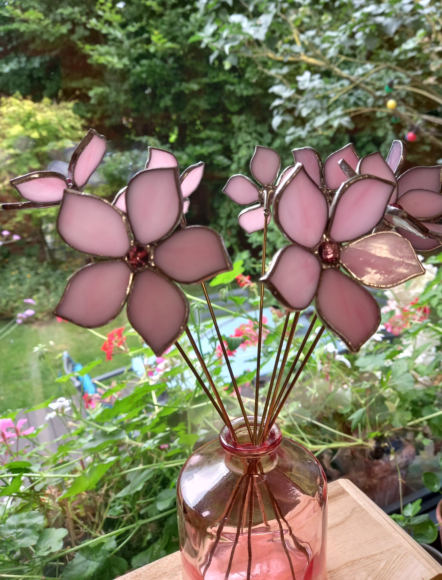 Pink Bay-Leaf Flower Plant-Poke