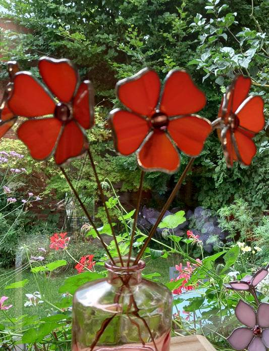 Suzanne aux yeux noirs Plant-Poke