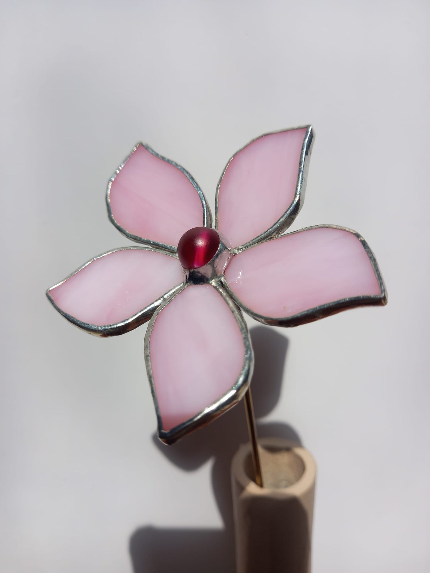 Pink Bay-Leaf Flower Plant-Poke