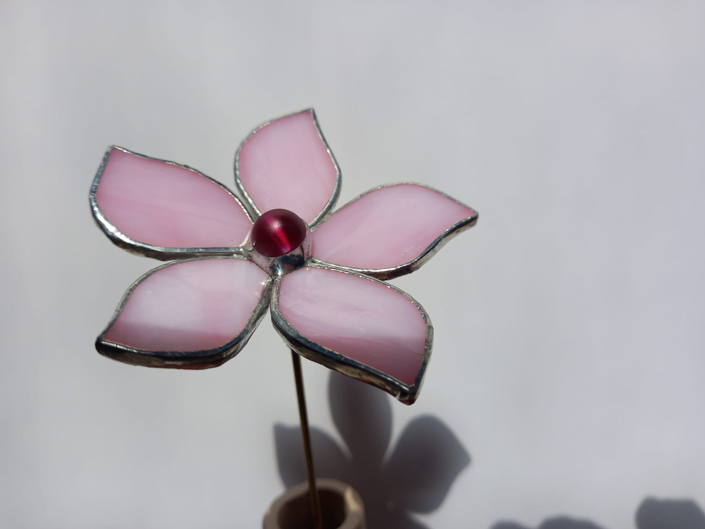 Pink Bay-Leaf Flower Plant-Poke